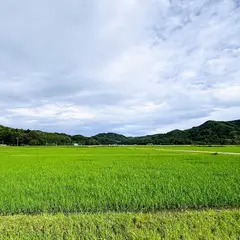 ほたるの里
