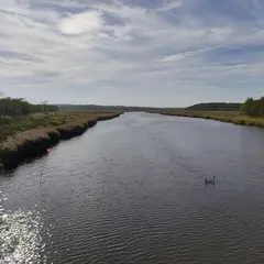 ヤウシュベツ川湿原
