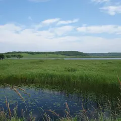オンネ沼