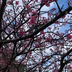 松原公園