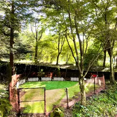 ポーラーリゾート南軽井沢３