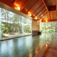 高山グリーンホテル