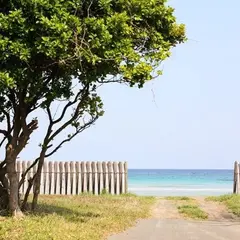 茂木浜海水浴場