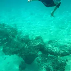 対馬グリーンパーク