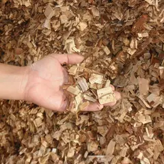 浜御塩　白松