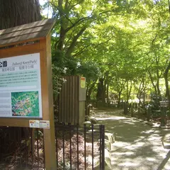 瑞宝寺公園