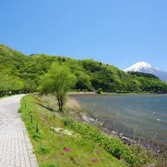 河口湖北岸ウォーキングトレイル