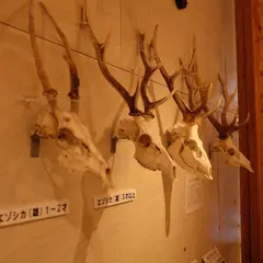 ひがし大雪自然館
