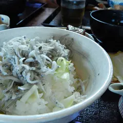 白菊