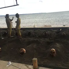 【閉業】別府海浜砂湯