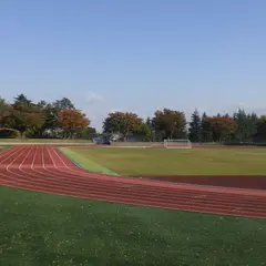 新井総合公園