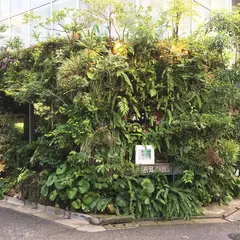 風花