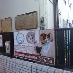 猫カフェ にゃんくる 鎌倉店
