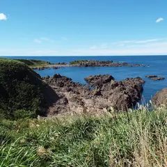 鬼の俵転がし