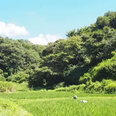 鎌倉中央公園