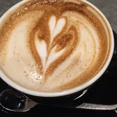 アンモナイト コーヒーマーケット