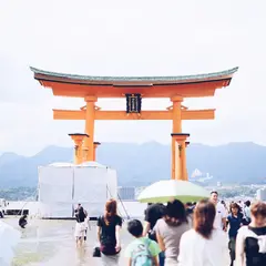 嚴島神社 大鳥居