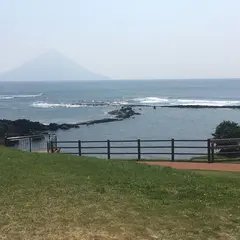 番所鼻自然公園