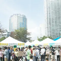 太陽のマルシェ