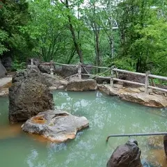 湯元白金温泉ホテル
