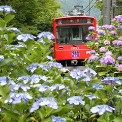 あじさい電車