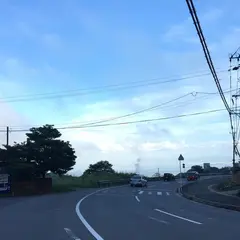 明礬