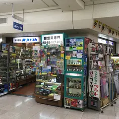 ありいづみ