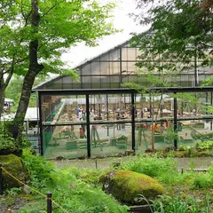 リスの森・飛騨山野草自然庭園