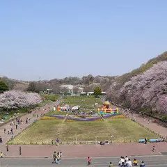 こどもの国