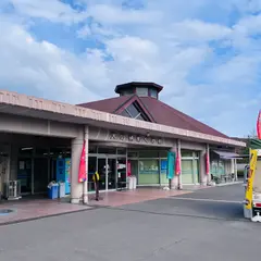 道の駅 桜島 火の島めぐみ館