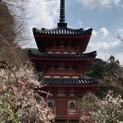 三室戸寺