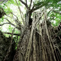 ガンガラーの谷