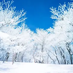 御在所岳樹氷