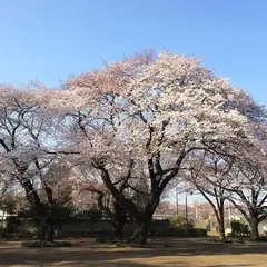 矢川上公園