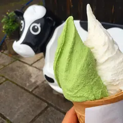 松ぼっくり