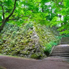 大本花明山植物園