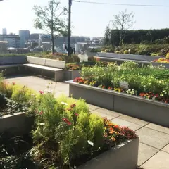 経堂コルティ
