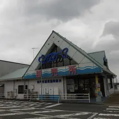 神戸市漁業協同組合 直売所