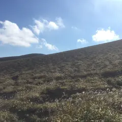 三原山ハイキングテキサスコース