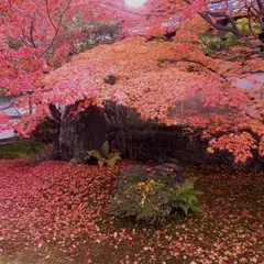 栗棘庵
