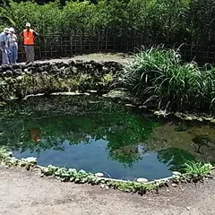 銚子池