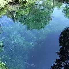 涌池