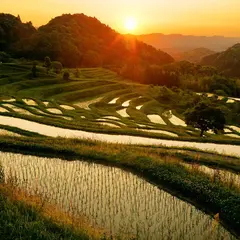 大山千枚田