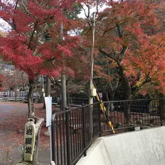 岩屋堂公園