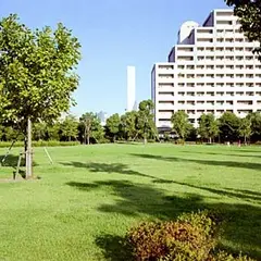 お台場レインボー公園