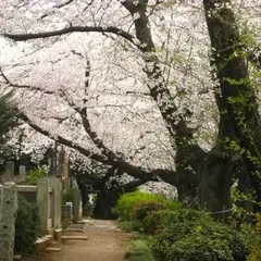 染井霊園