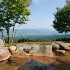 白鳥温泉上湯