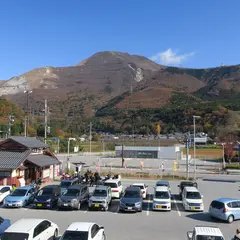 道の駅伊吹の里旬彩の森