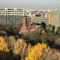 東京大学