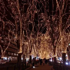 SENDAI 光のページェント